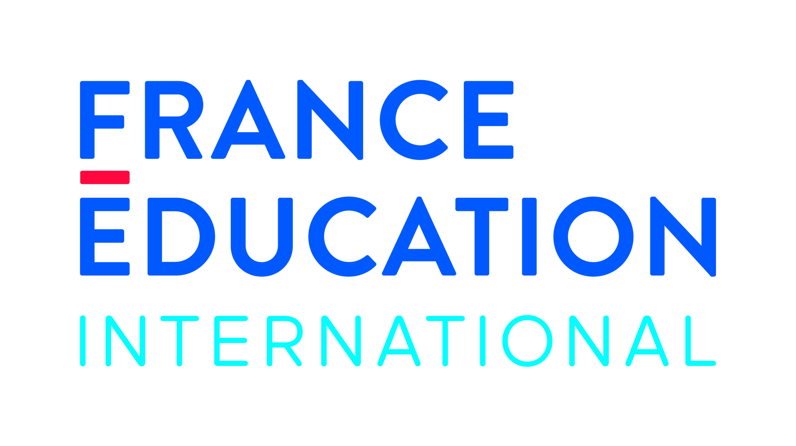 Logo FEI